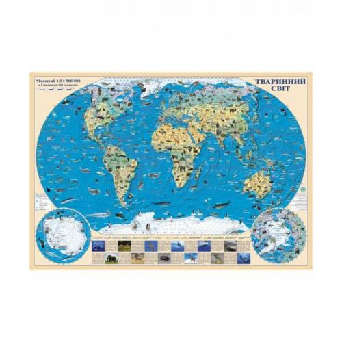 Карта настінна ІПТ формат А2 ламінована 65х45см Тварини