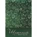 Щоденник діловий ТМ Рюкзачок "Щоденник вчителя" ДБ-2 В5 304 стор., тв. палітурка, матова ламінація