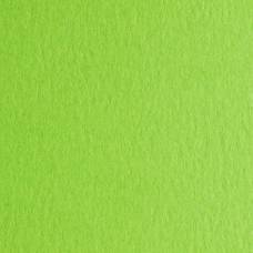Папір для дизайну Colore Fabriano B2 (50*70) №30 200г/м2 дрібне зерно Verde piselo салатовий 123330 Папір для дизайну Colore Fabriano B2 (50*70) №30 200г/м2 дрібне зерно Verde piselo салатовий 123330