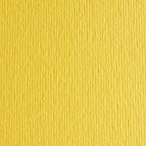 Папір для дизайну Elle Erre Fabriano B1(70*100) 220г/м2 №25 Cedro жовтий 122364