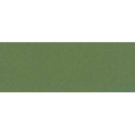 Папір пастельний Tiziano A3 (29.7*42) 160г/м2 №14 muschio оливковий