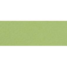 Бумага пастельная Tiziano A4 (21*29,7) 160г/м2 №11 Verduzzo (Салатовый) 157786