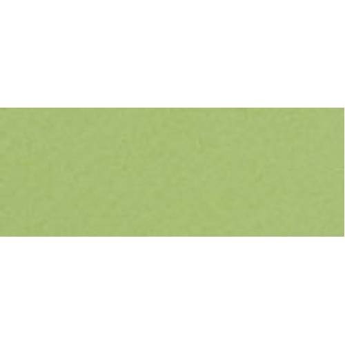 Бумага пастельная Tiziano A4 (21*29,7) 160г/м2 №11 Verduzzo (Салатовый) 157786