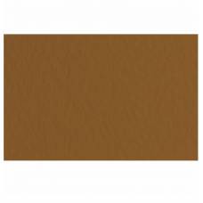 Папір пастельний Tiziano B2 (50*70) 160г/м2 №09 Caffe коричневий 157663