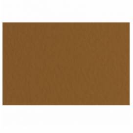 Бумага пастельная Tiziano B2 (50*70) 160г/м2 №09 Caffe (Коричневый) 157663 Бумага пастельная Tiziano B2 (50*70) 160г/м2 №09 Caffe (Коричневый) 157663
