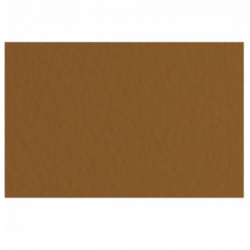 Папір пастельний Tiziano B2 (50*70) 160г/м2 №09 Caffe коричневий 157663
