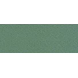Бумага пастельная Tiziano B2 (50*70) 160г/м2 №13 Salvia (Серо-зеленый) 157694 Бумага пастельная Tiziano B2 (50*70) 160г/м2 №13 Salvia (Серо-зеленый) 157694