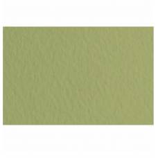 Бумага пастельная Tiziano B2 (50*70) 160г/м2 №14 Muschio (Оливковая) 157700