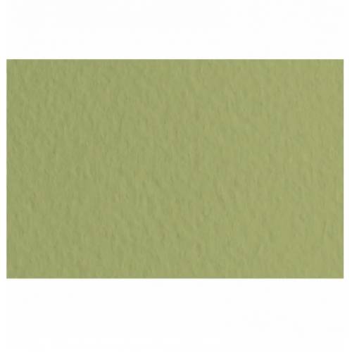 Бумага пастельная Tiziano B2 (50*70) 160г/м2 №14 Muschio (Оливковая) 157700
