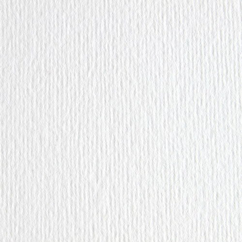 Бумага для дизайна Elle Erre Fabriano A4 220г/м2 №00 bianco белый 981384 Бумага для дизайна Elle Erre Fabriano A4 220г/м2 №00 bianco белый 981384