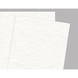 Папір акварельний Fabriano Torchon B1 70*100 270 г/м2 White (білий) 25% бавовни, крупне зерно 27070100