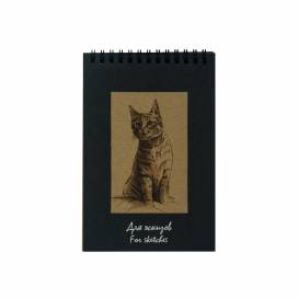 Блокнот Лілія-Холдинг для ескізів "Кішка" А5 12*18 50л крафт