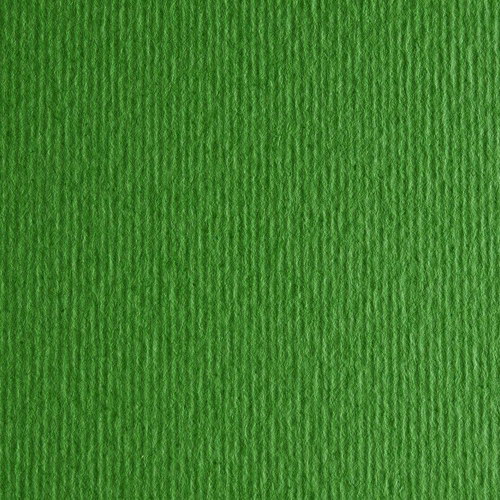 Бумага для дизайна Elle Erre Fabriano A3 220г/м2 №11 verde зелёная 169741