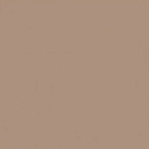 Папір для дизайну Folia Fotokarton A4 (21*29.7) 300г/м2 №73 капуччино