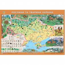 Карта настінна ІПТ формат А2 ламінована 65х45см Рослини та тварини України 950420