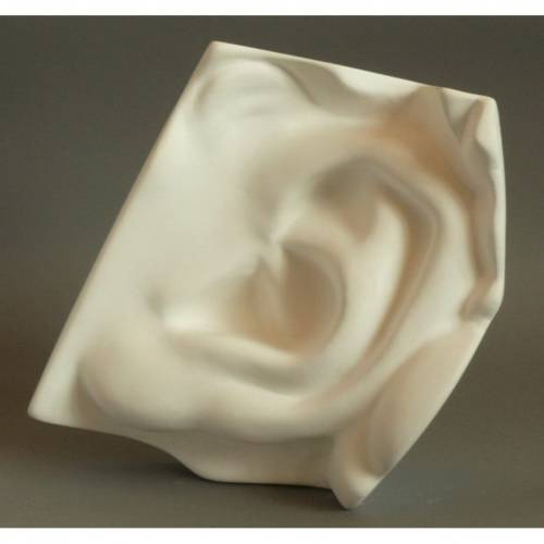 Гіпс Вухо Давида 23*16*10см p01002