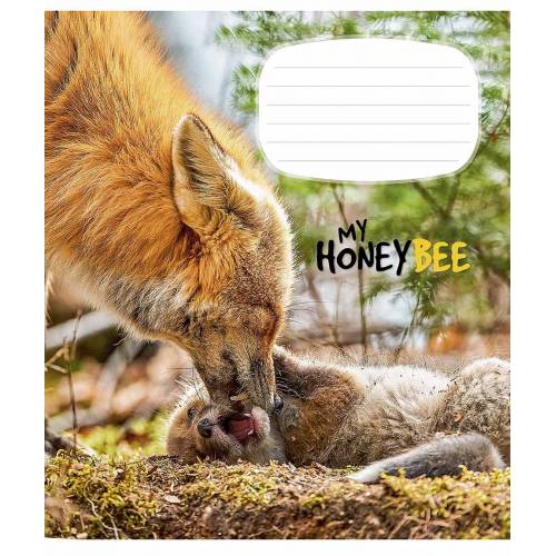 Тетрадь 12л. линия Star 02944 My honee be