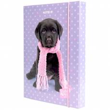 Папка Kite B5 картонна на гумці SP23-210 Studio Pets