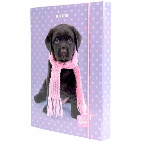 Папка Kite B5 картонна на гумці SP23-210 Studio Pets
