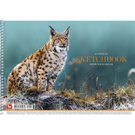 Альбом для малювання Школярик 30л спіраль PB-SC-030-287