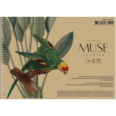Альбом для малювання Школярик Muse А4 30л 150гр/м2 спіраль PB-SC-030-318 обкладинка крафт