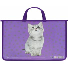 Портфель  Maxi A4 на молнии MX30001-04 Cat фиолетовый