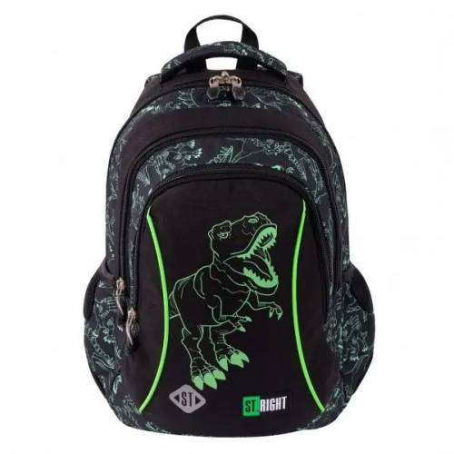 Рюкзак ST.RIGHT BP-26 REFLECTIVE T-REX 667985 Рюкзак ST.RIGHT BP-26 REFLECTIVE T-REX 667985