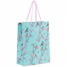 Пакет подарунковий Axent 8501-21-A-OS 18х24см OS, Spring Пакет подарунковий Axent 8501-21-A-OS 18х24см OS, Spring