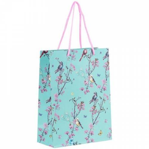 Пакет подарунковий Axent 8501-21-A-OS 18х24см OS, Spring Пакет подарунковий Axent 8501-21-A-OS 18х24см OS, Spring