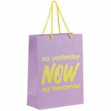 Пакет подарунковий Axent 8501-27-A 18х24см NOW Пакет подарунковий Axent 8501-27-A 18х24см NOW