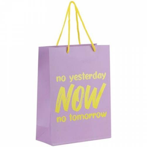 Пакет подарунковий Axent 8501-27-A 18х24см NOW Пакет подарунковий Axent 8501-27-A 18х24см NOW