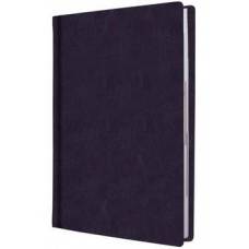 Ежедневник Economix не датированный A5 E22029-08 Nebraska линия коричневый 