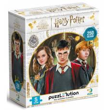 Пазлы DoDo 250 элементов 200498 Medium-S «Harry Potter. Гаррі та друзі»