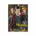 Пазлы DoDo 250 элементов 200498 Medium-S «Harry Potter. Гаррі та друзі»