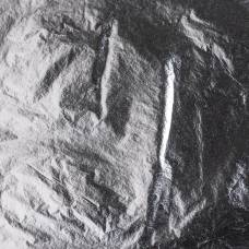 Поталь свободная Giusto Manetti Серебро №2,5 16х16 20л