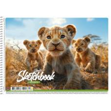 Альбом для рис-я Школярик Star 30л 100г/м2 спираль PB-SC-030-8550