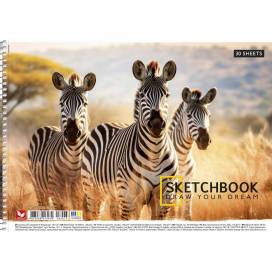 Альбом для малювання Школярик 30л 120г/м2 спіраль PB-SC-030-8043