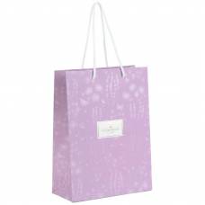 Пакет подарунковий Axent 8501-39-A-TR 18х24см TR, Morning Dew 1