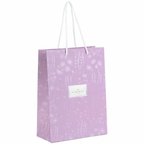 Пакет подарунковий Axent 8501-39-A-TR 18х24см TR, Morning Dew 1